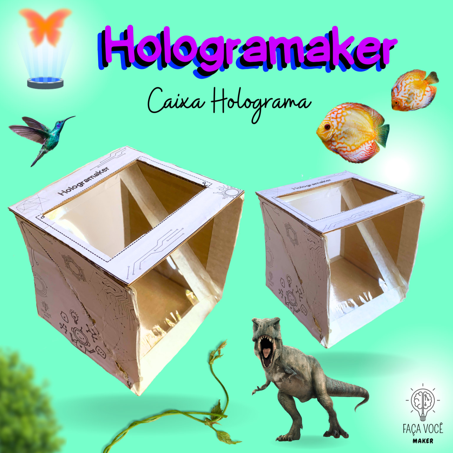 Hologramaker Caixa Holograma Fa A Voc Maker