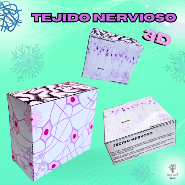 Tejidos del Cuerpo Humano 3D (Español) - Image 4