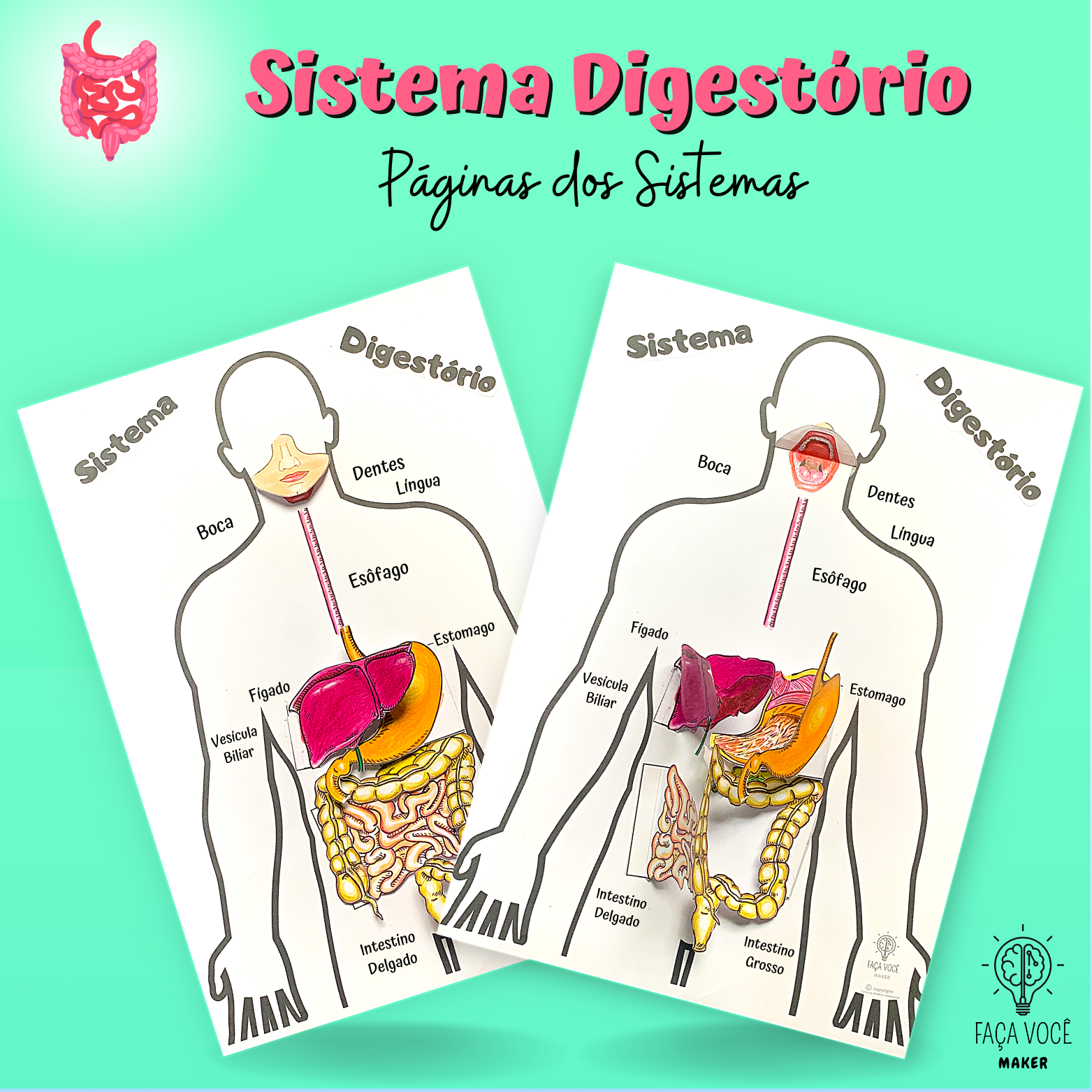 Página dos Sistemas Digestório