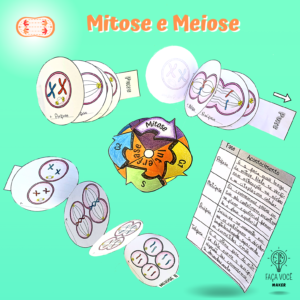 Mitose e Meiose