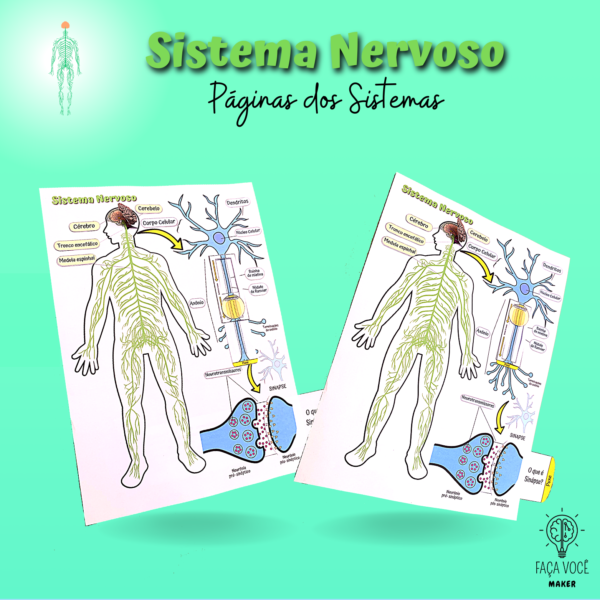 Páginas dos Sistemas- Nervoso