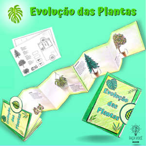 Evolução das Plantas