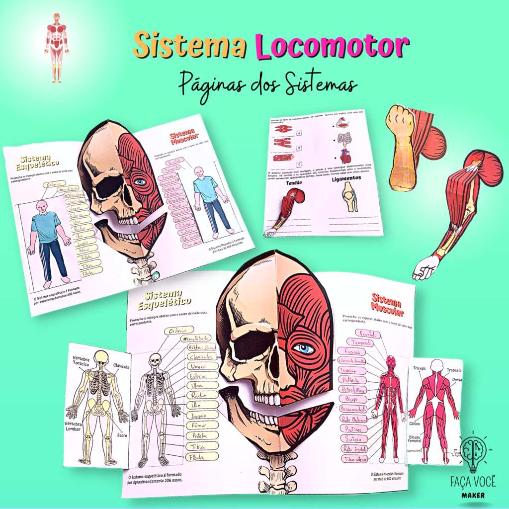 Sistema Locomotor – Faça Você Maker