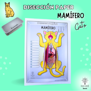 Mamífero- Disseccíon Paper (Español)