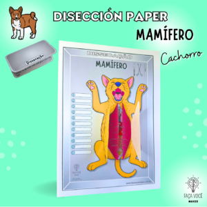 Mamífero- Disseccíon Paper (Español)