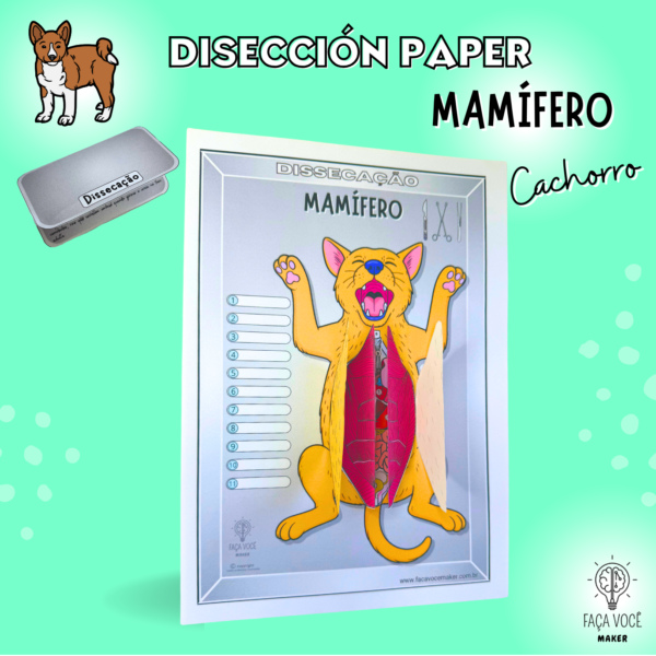 Mamífero- Disseccíon Paper (Español)