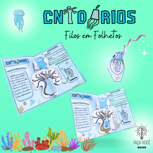 Cnidários (Filos em Folhetos)