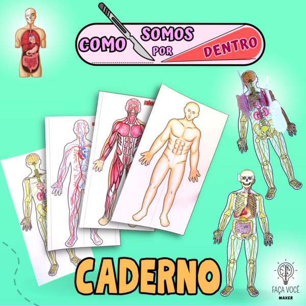 Corpo humano (Caderno)