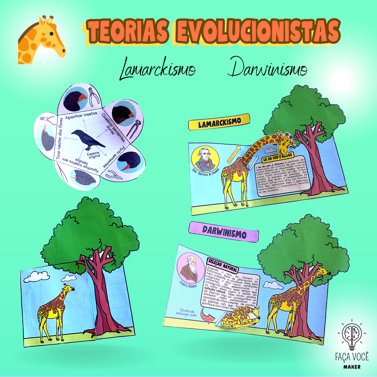 Teorias evolucionistas (Lamarck e Darwin) – Faça Você Maker