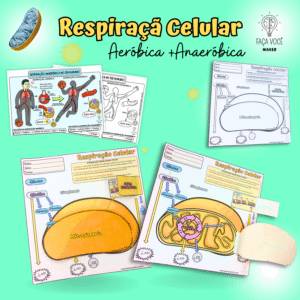 Mitocôndria (Respiração Aeróbica e Anaeróbica)