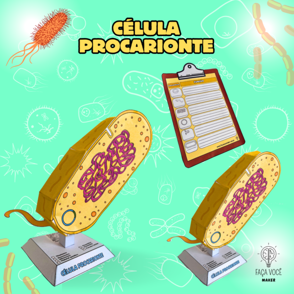 Célula procariótica 3D (Espanõl)