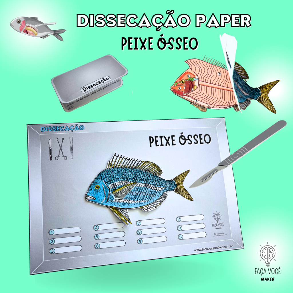 Peixe Ósseo Dissecação Paper Faça Você Maker 5329