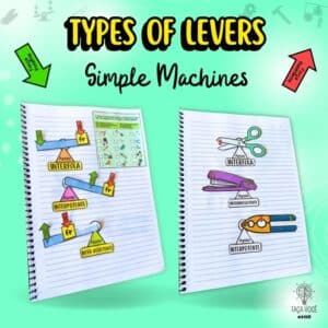 Types of Levers (Simple Machines)