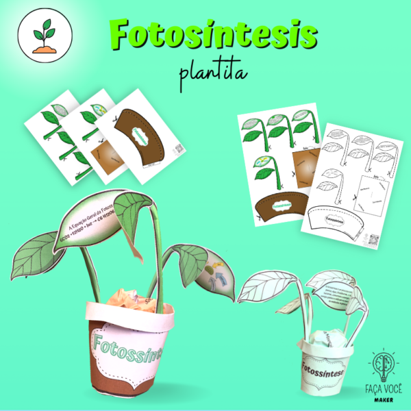 Fotosíntesis (Planta 3D)