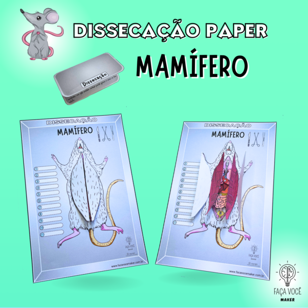 DISSECAÇÃO Vertebrados+Mapa conceitual (Combo) - Image 7