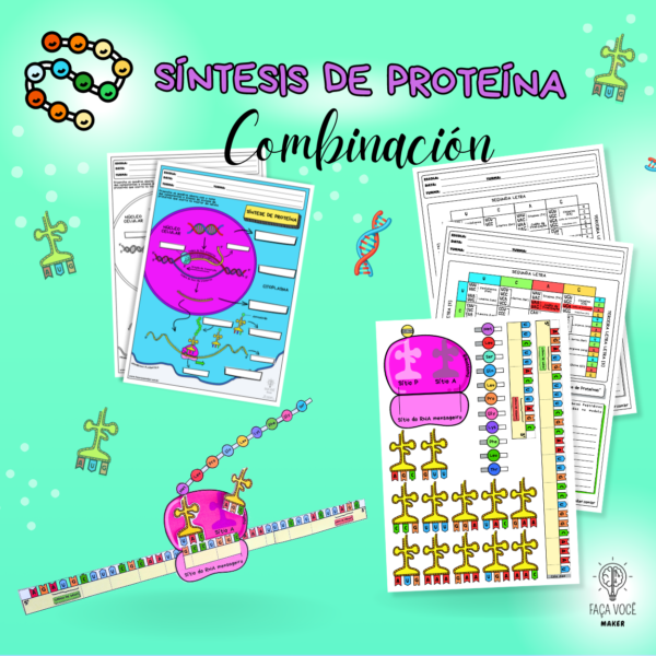 Síntesis de proteínas (combinación)