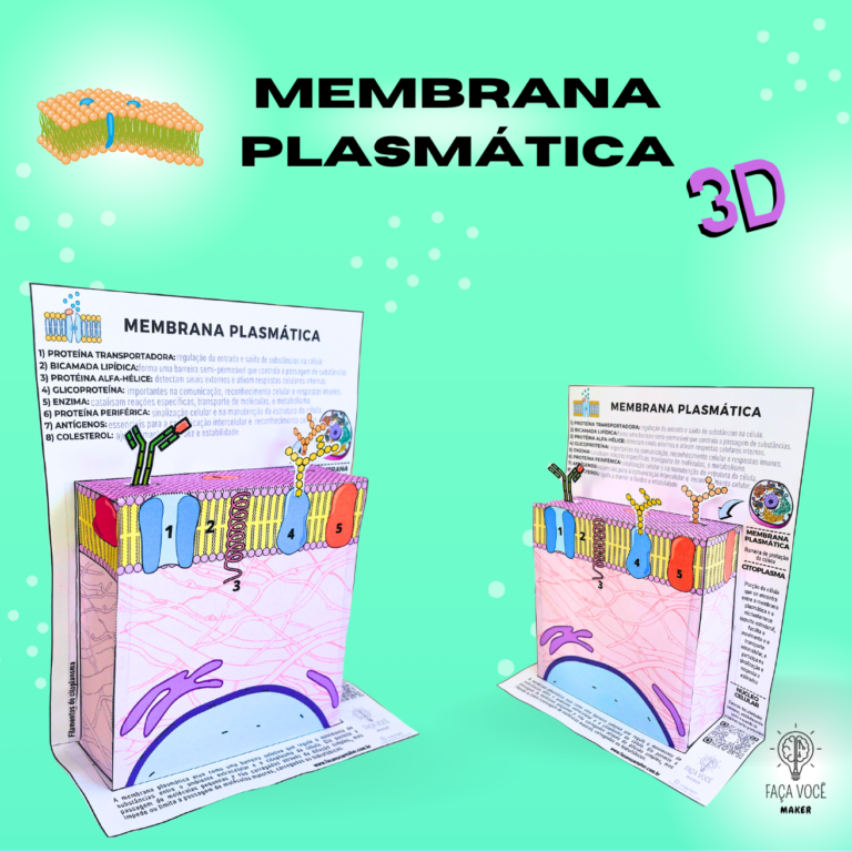 Membrana Plasmática 3d Espanõl Faça Você Maker 9487