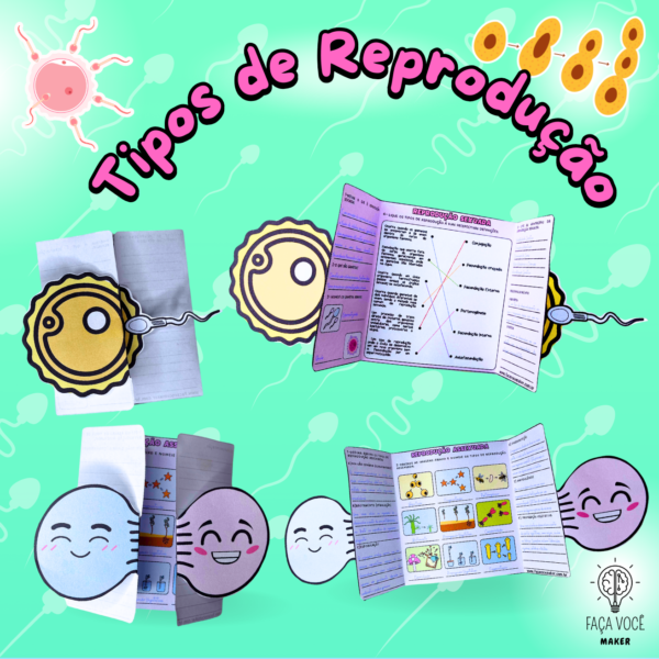 Tipos de Reprodução