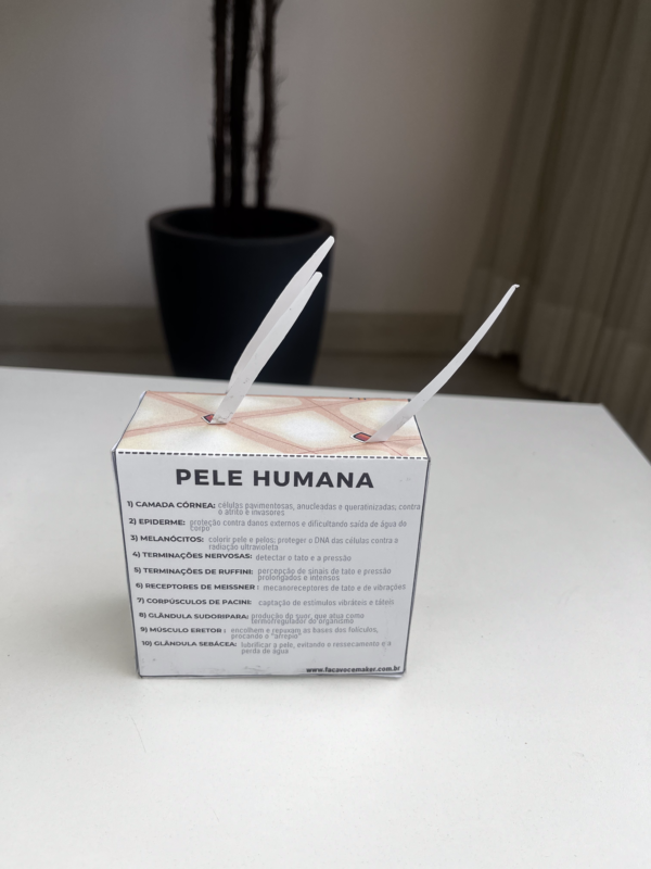 Pele Humana 3D - Image 4