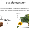 SLIDE- CARACTERISTICAS GERAIS DOS SERES VIVOS - Imagem 4