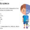 SLIDE- CARACTERISTICAS GERAIS DOS SERES VIVOS - Imagem 5