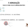 SLIDE- CARACTERISTICAS GERAIS DOS SERES VIVOS - Imagem 2