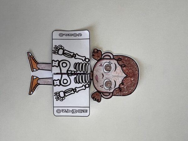 Anatomia  Kids (Combo) - Image 16