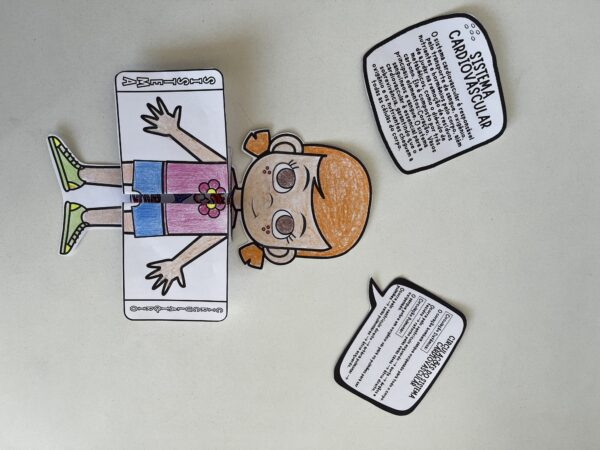Anatomia  Kids (Combo) - Image 13