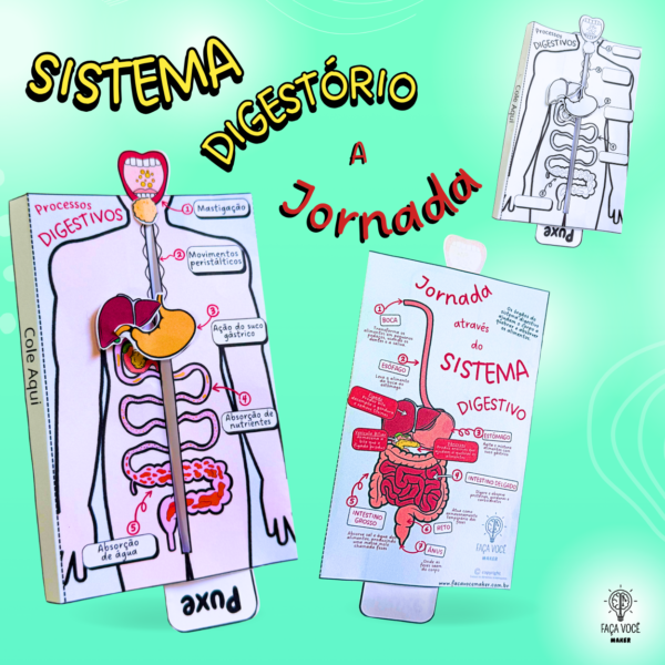 Sistema Digestório (Card)