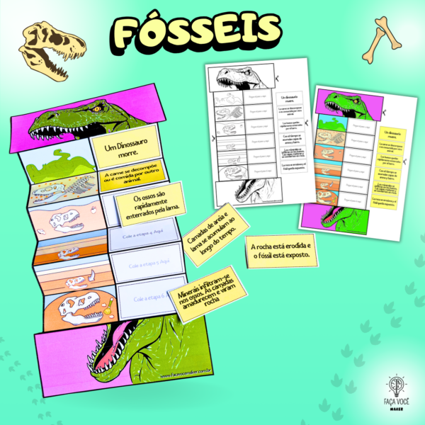 Fósseis