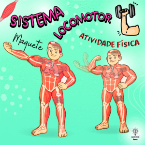 Sistema Locomotor (Maquete)