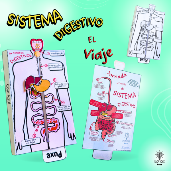 Sistema Digestivo (Español)