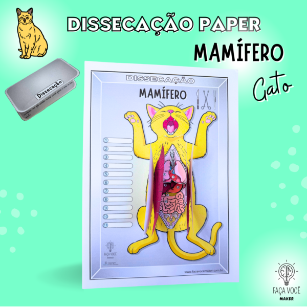 Mamífero- Dissecação Paper (Gato)