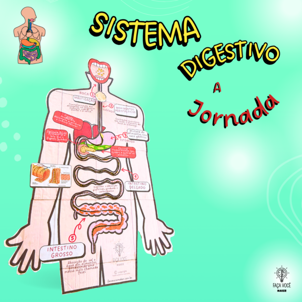 Sistema Digestório (Maquete)