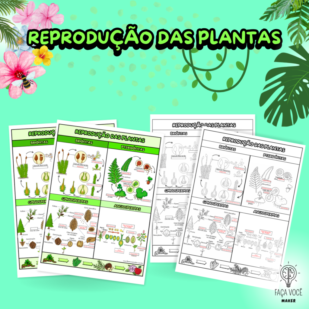 Reprodução das Plantas (Mapa) – Faça Você Maker