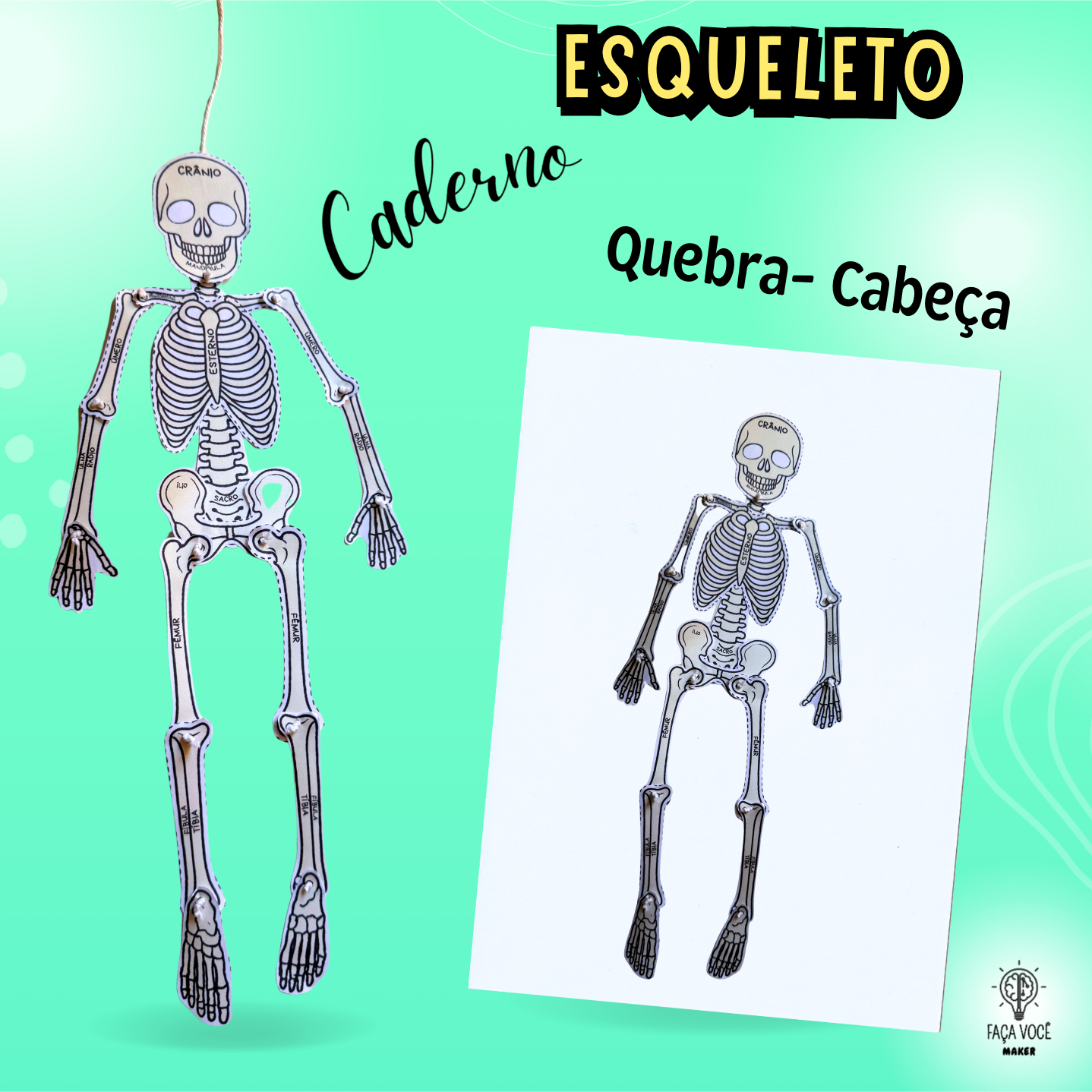 Esqueleto (Caderno)