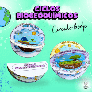 Ciclos Biogeoquímicos ( Espanõl)