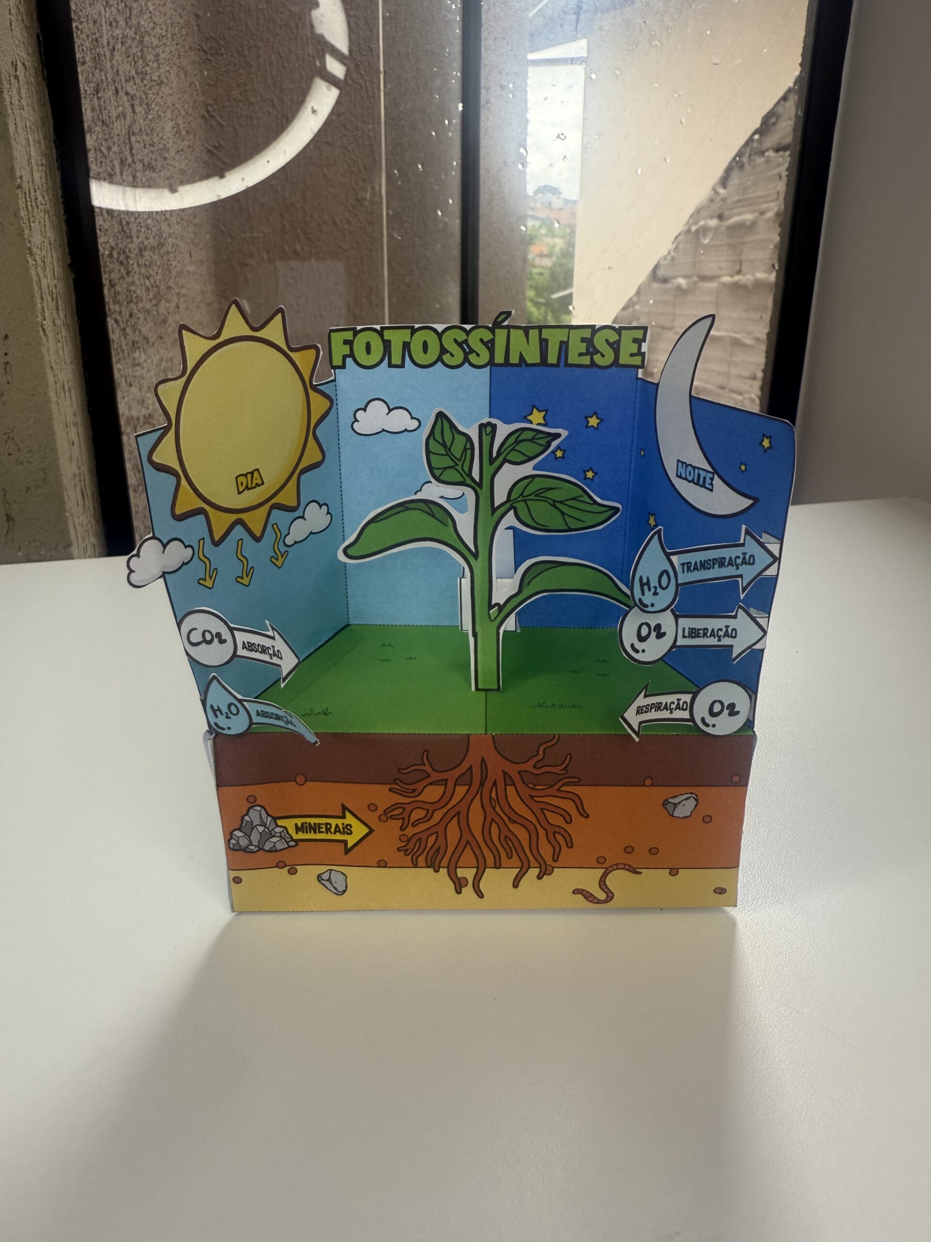 Fotossíntese Mine Maquete - Imagem 3