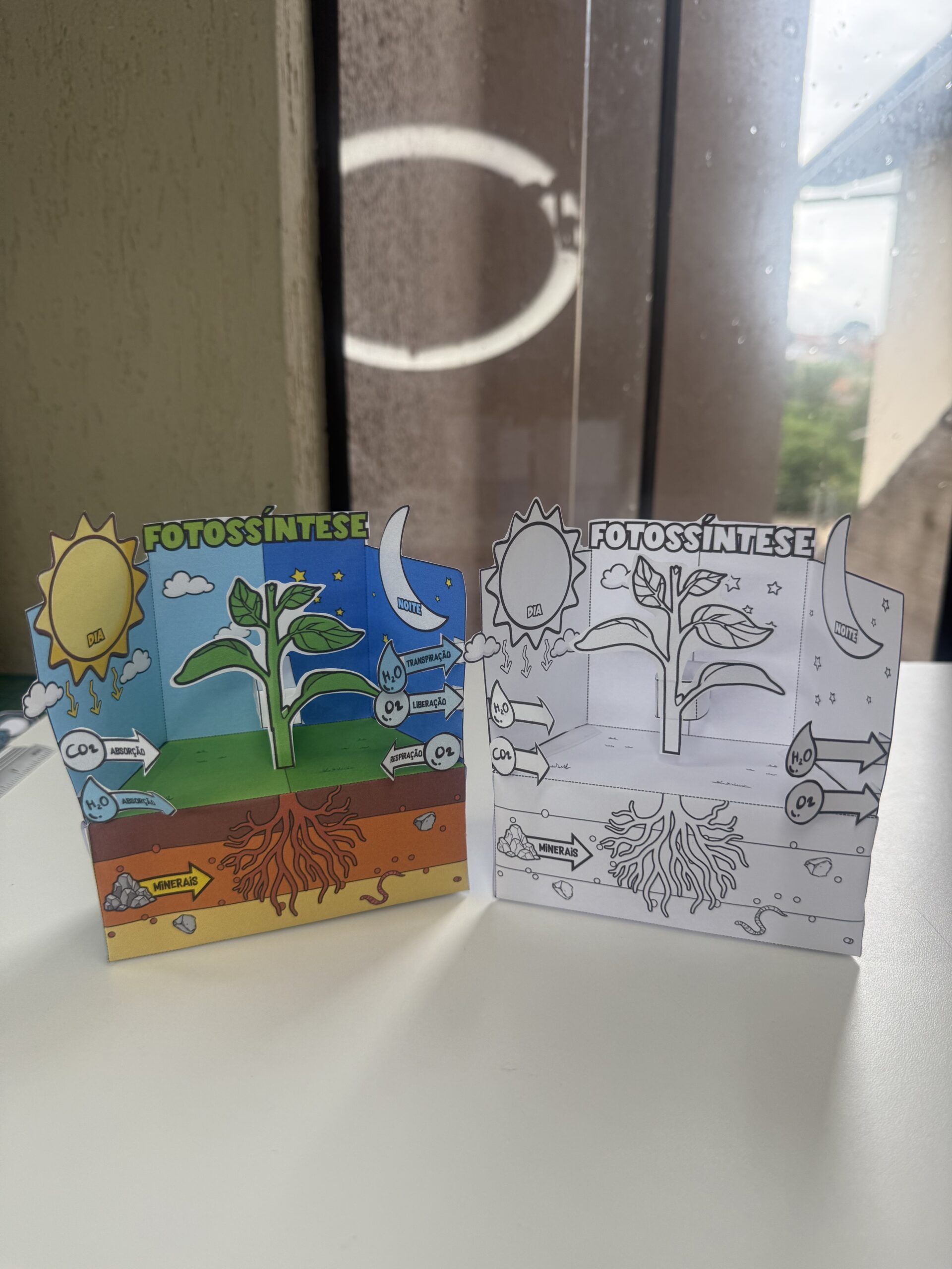 Fotossíntese Mine Maquete - Imagem 2