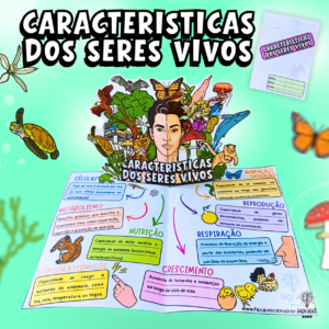 Características Gerais dos Seres Vivos