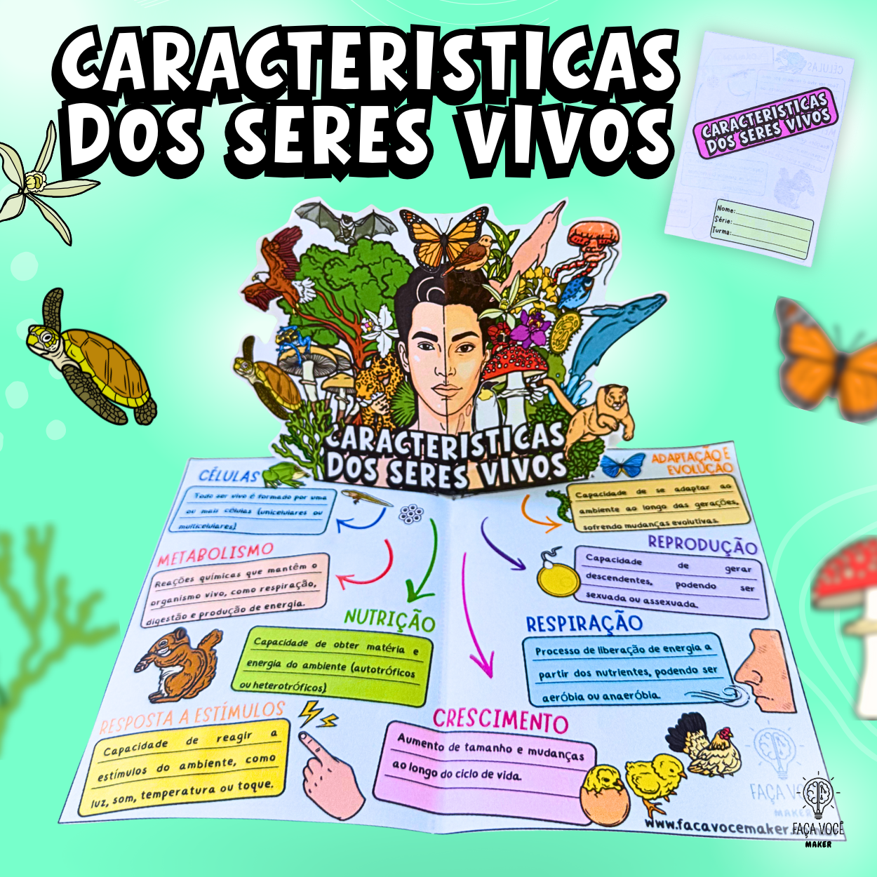 Características Gerais dos Seres Vivos