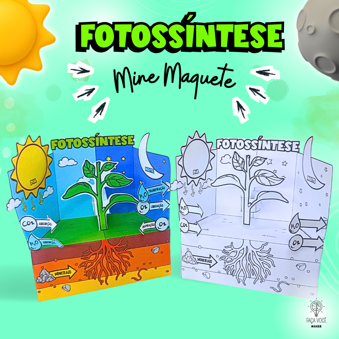 Fotossíntese Mine Maquete