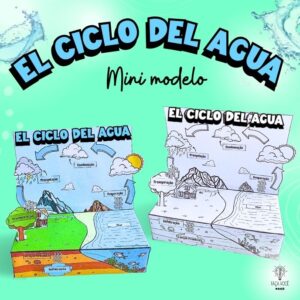 Español-El Ciclo del Água