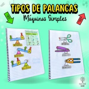 Español-Tipos de Palancas