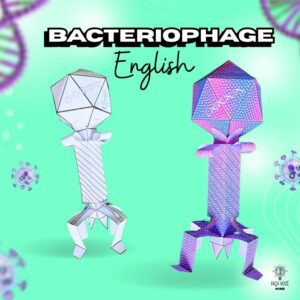 Bacteriófago (English)