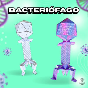 Bacteriófago 3D 2.0 (Medio)