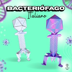 Bacteriófago  (Italiano)