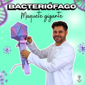 Bacteriófago 3D 2.0 (Gigante)