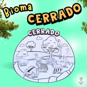 Biomas Do Brasil -Cerrado