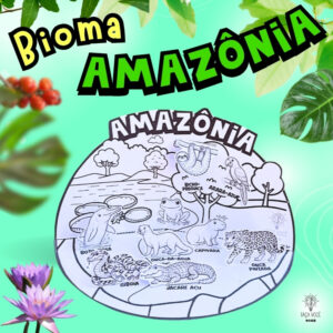 Biomas Do Brasil -Amazônia
